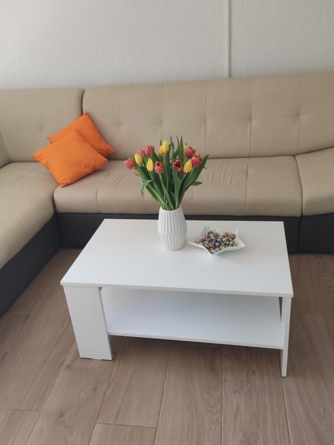 Apartment Premantura Εξωτερικό φωτογραφία