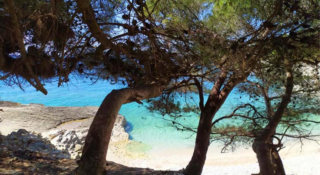 Apartment Premantura Εξωτερικό φωτογραφία